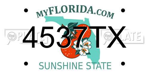 4537TX Florida License Plate