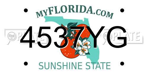 4537YG Florida License Plate