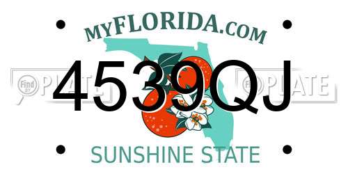 4539QJ Florida License Plate
