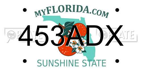 453ADX Florida License Plate