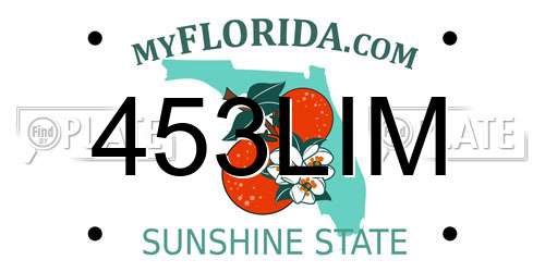 453LIM Florida License Plate