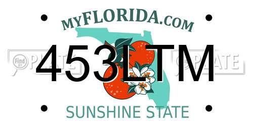 453LTM Florida License Plate