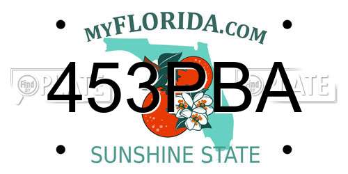 453PBA Florida License Plate