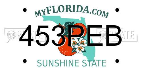 453PEB Florida License Plate