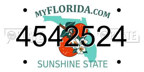 4542524 Florida License Plate