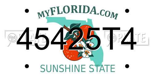 45425T4 Florida License Plate