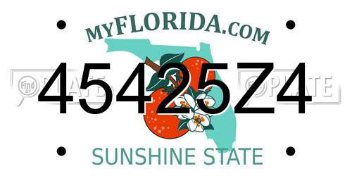 45425Z4 Florida License Plate