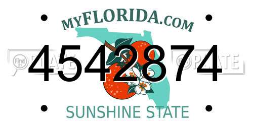 4542874 Florida License Plate