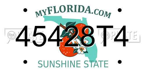 45428T4 Florida License Plate