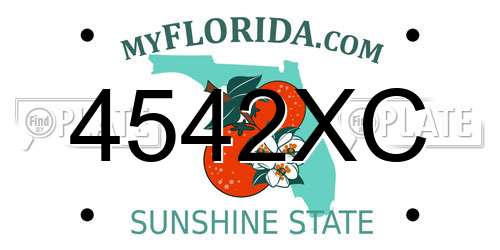 4542XC Florida License Plate