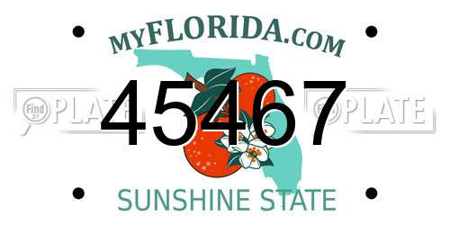 45467 Florida License Plate
