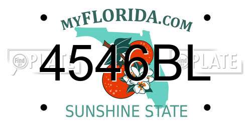 4546BL Florida License Plate