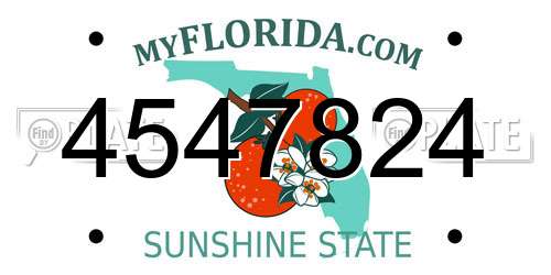 4547824 Florida License Plate