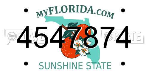 4547874 Florida License Plate