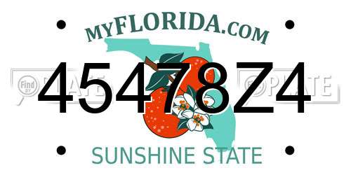 45478Z4 Florida License Plate