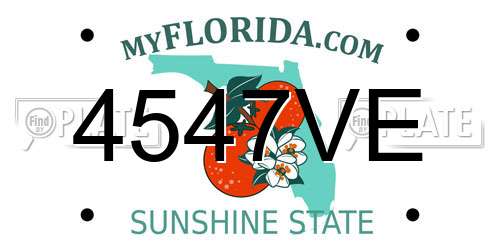 4547VE Florida License Plate