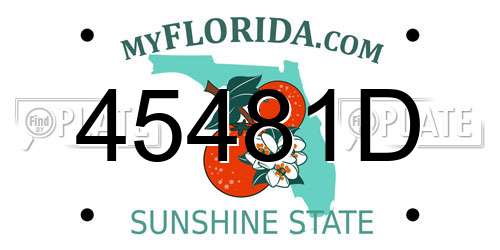 45481D Florida License Plate