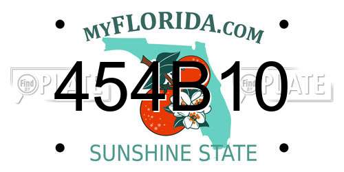 454B10 Florida License Plate