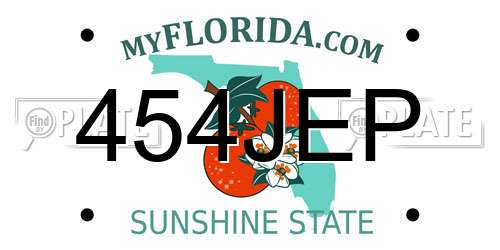 454JEP Florida License Plate