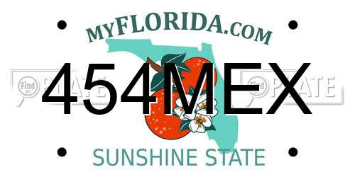 454MEX Florida License Plate