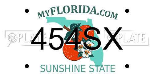 454SX Florida License Plate