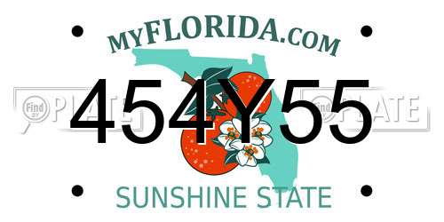 454Y55 Florida License Plate