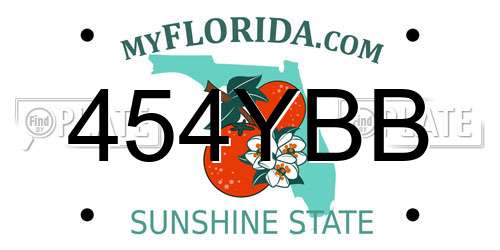 454YBB Florida License Plate