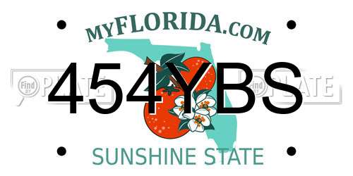 454YBS Florida License Plate