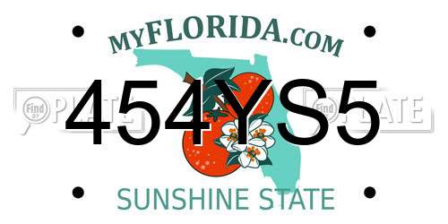 454YS5 Florida License Plate