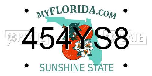 454YS8 Florida License Plate