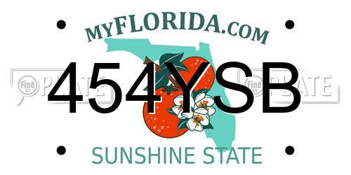 454YSB Florida License Plate