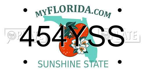 454YSS Florida License Plate