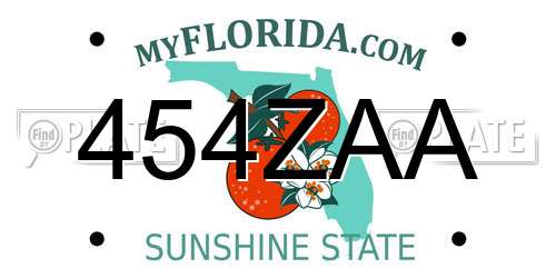 454ZAA Florida License Plate