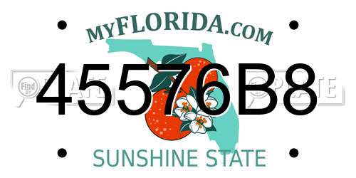 45576B8 Florida License Plate