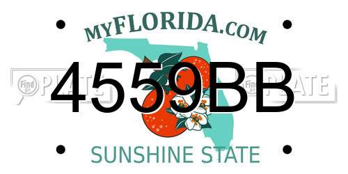 4559BB Florida License Plate