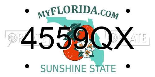 4559QX Florida License Plate
