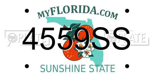 4559SS Florida License Plate