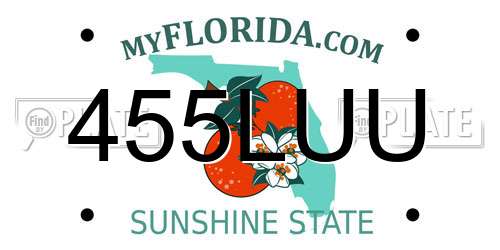 455LUU Florida License Plate