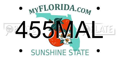 455MAL Florida License Plate