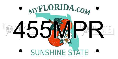 455MPR Florida License Plate
