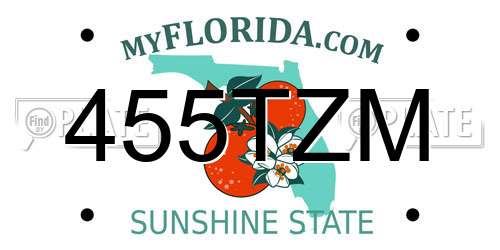 455TZM Florida License Plate