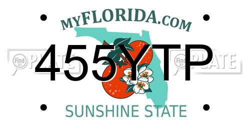 455YTP Florida License Plate