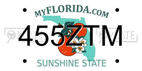 455ZTM Florida License Plate