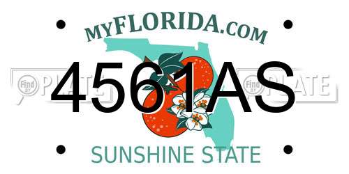 4561AS Florida License Plate