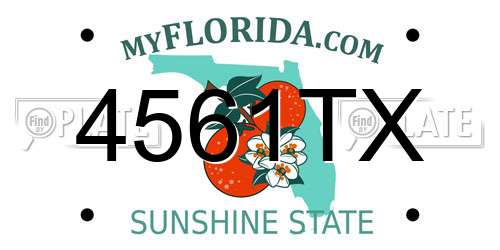4561TX Florida License Plate