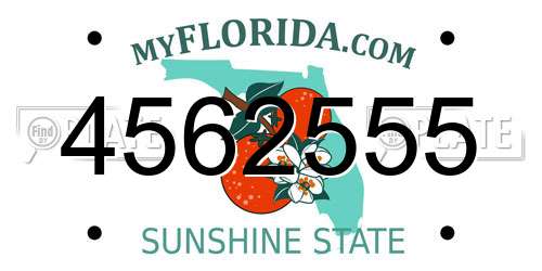 4562555 Florida License Plate