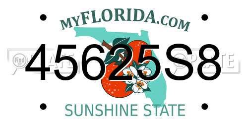 45625S8 Florida License Plate