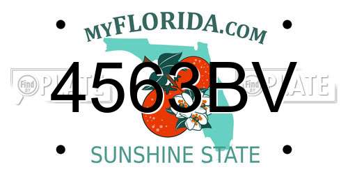 4563BV Florida License Plate