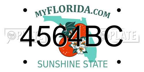 4564BC Florida License Plate