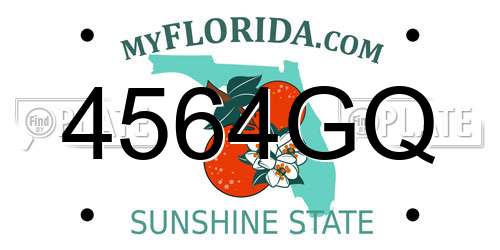 4564GQ Florida License Plate